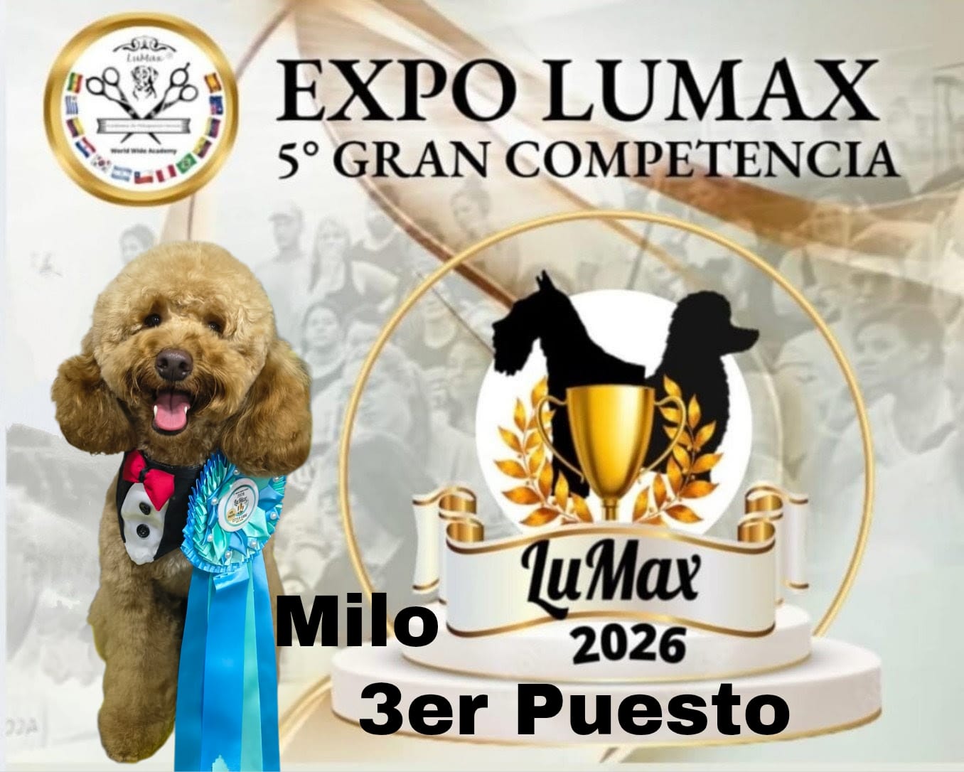 Milo Ganador de la competencia