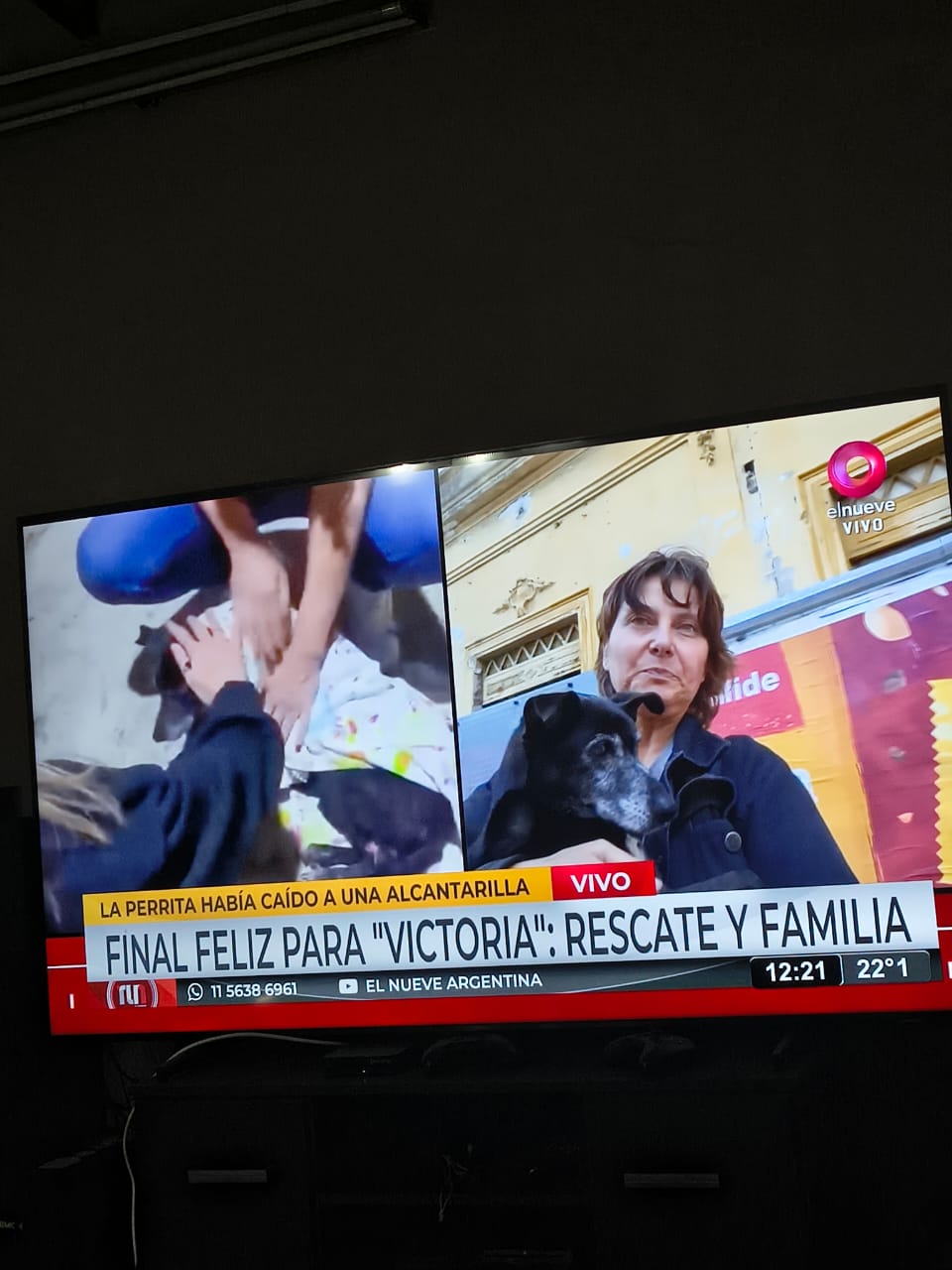 Portela